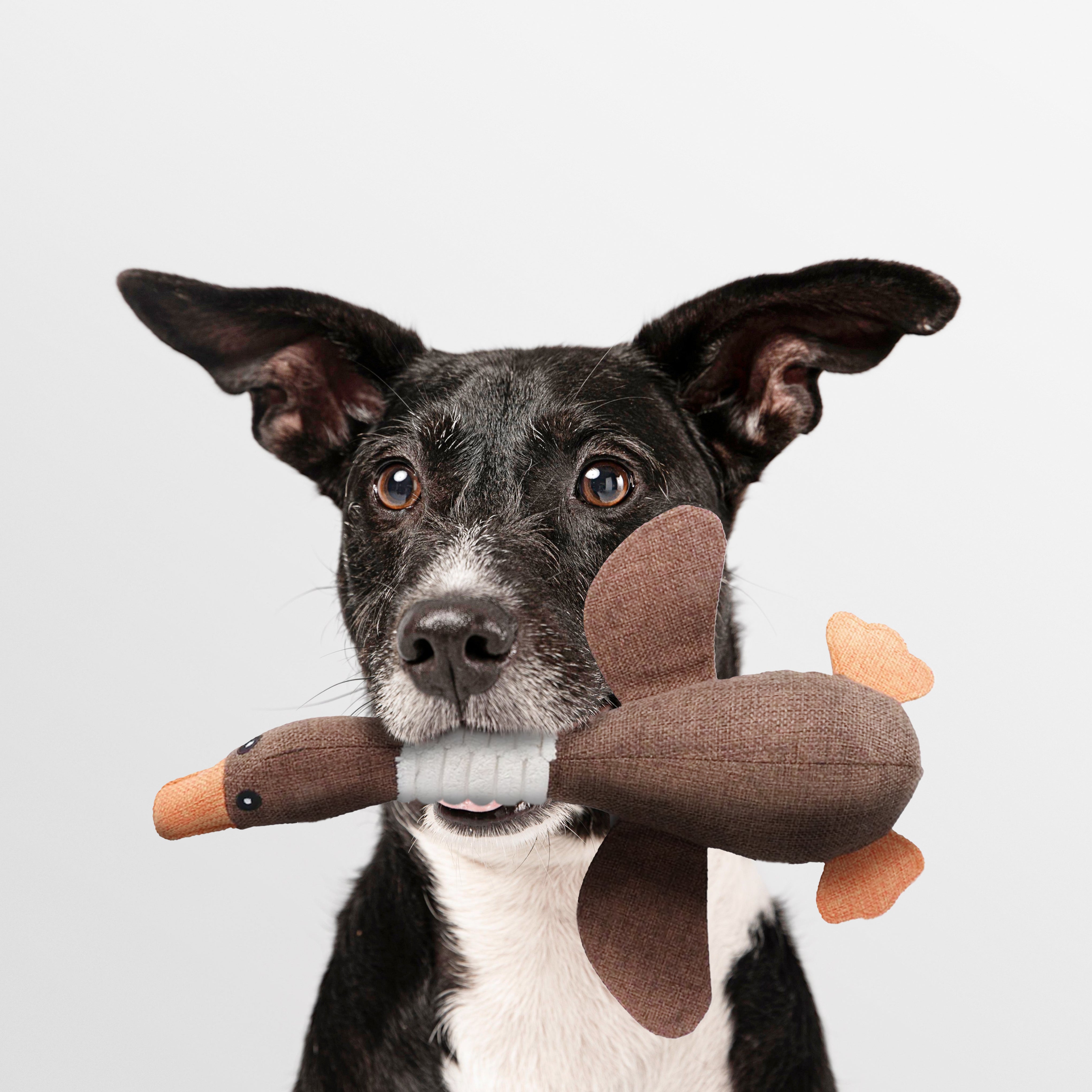 LievelingSpeel™ | Onverwoestbare Eend voor Honden