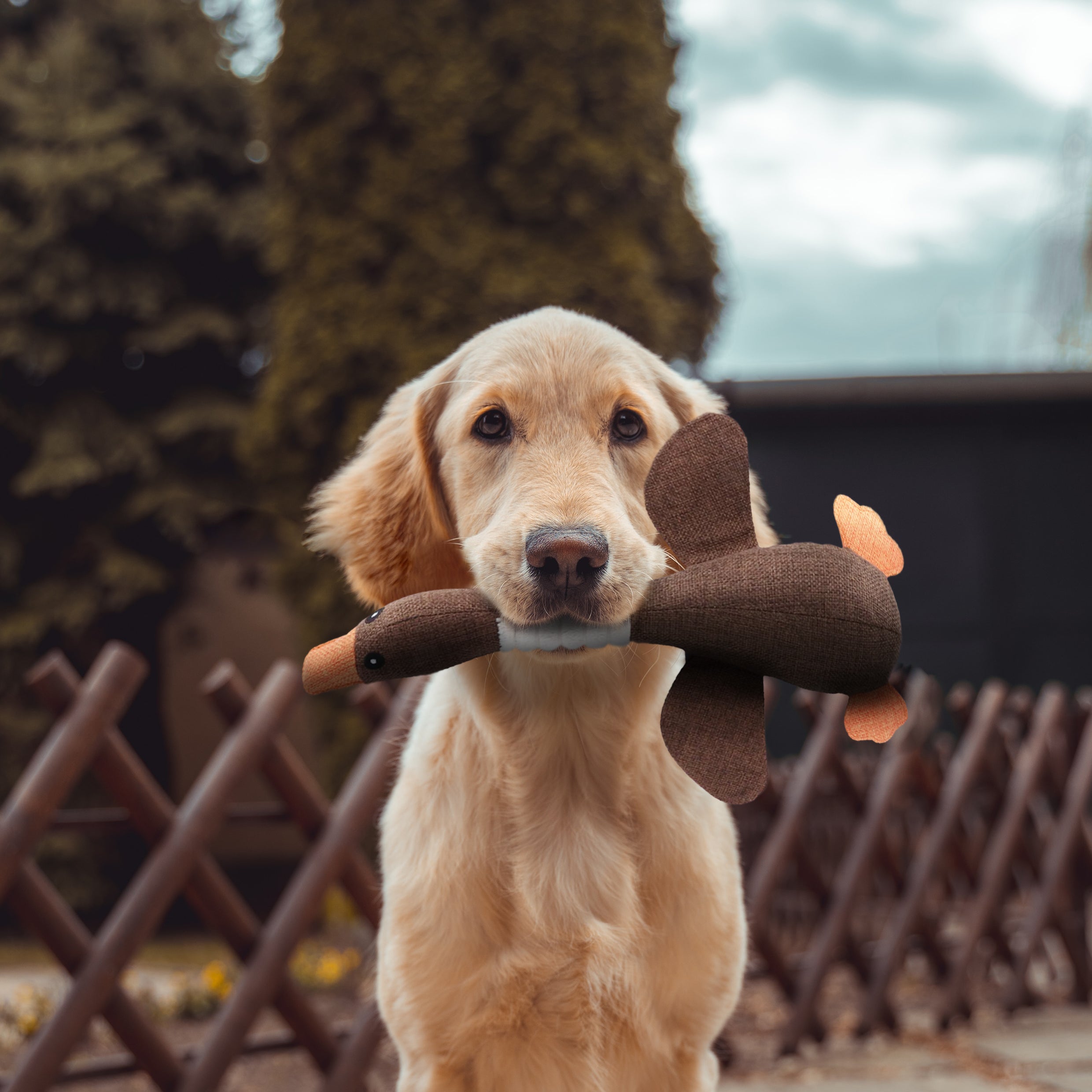 LievelingSpeel™ | Onverwoestbare Eend voor Honden